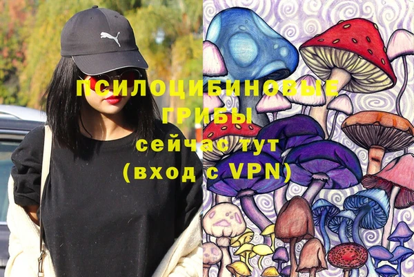 альфа пвп Белокуриха