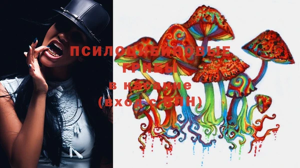 винт Пересвет