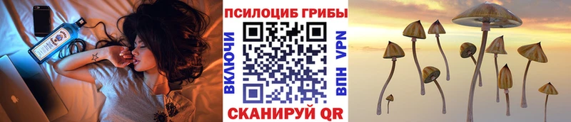 Галлюциногенные грибы Psilocybe Тарко-Сале